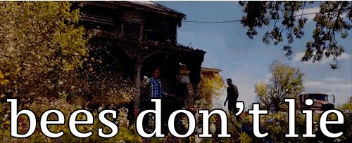 bees-dont-lie