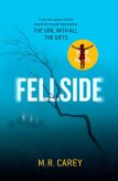 Fellside