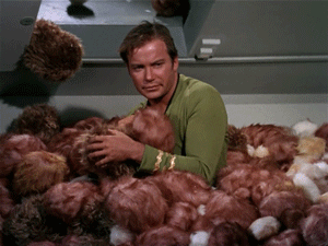 star trek tribbles