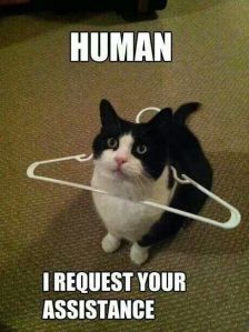 Human Assistance