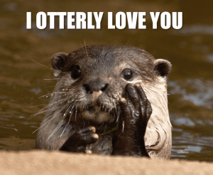 Otter