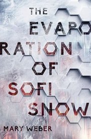 the-evaporation-of-sofi-snow